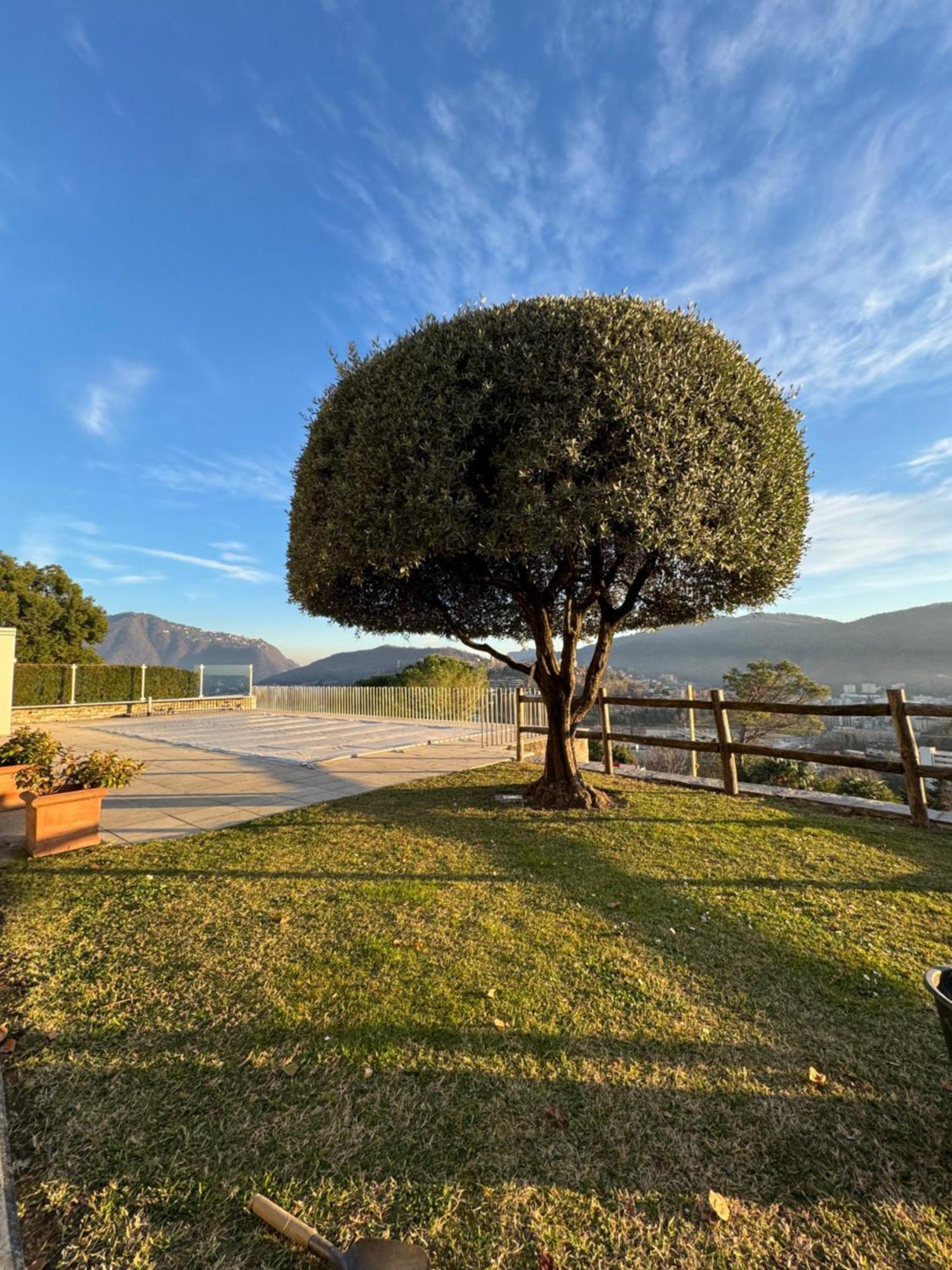 Veralto - Modern Suite With Como Lake View Vacallo Exteriér fotografie